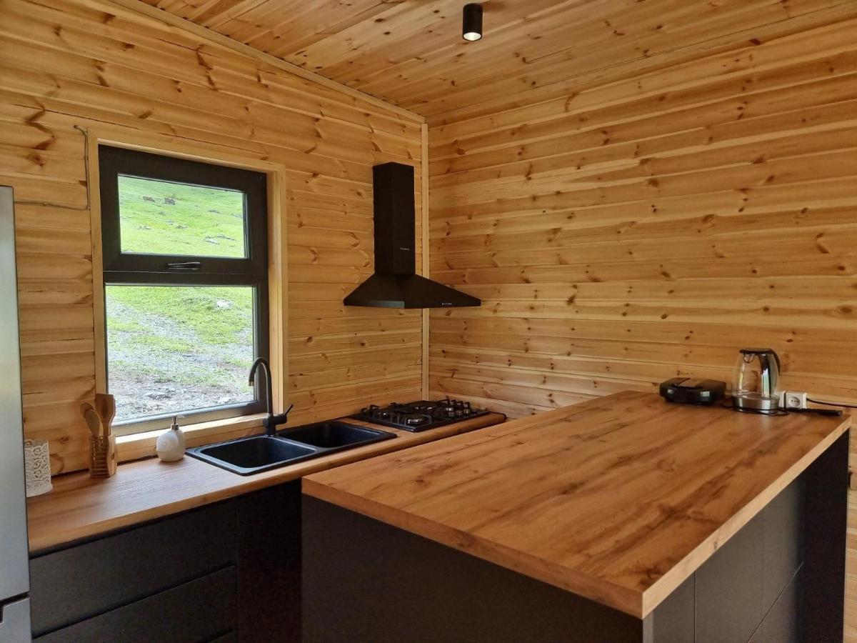 Apartamento Memory Hut_Kazbegi Exterior foto